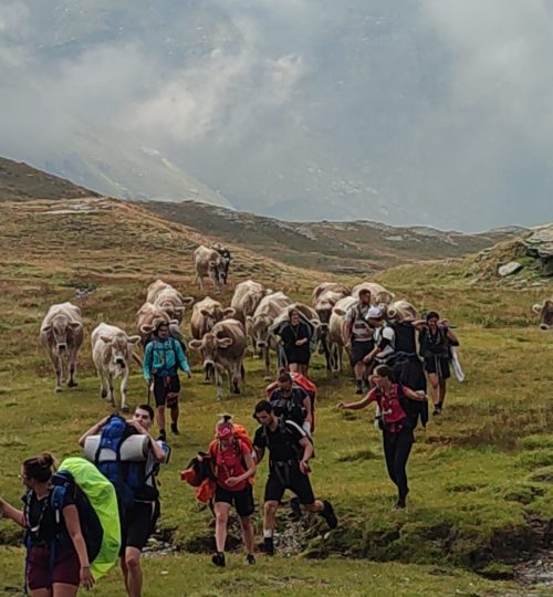 Route estiva in Val Formazza